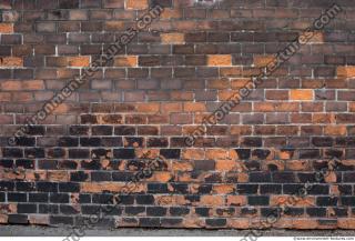 Photo Textures of Wall Bricks